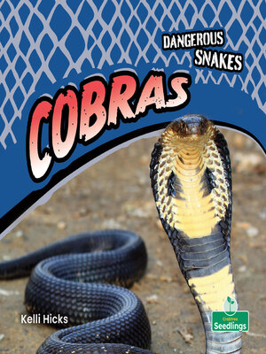 cover image of Cobras